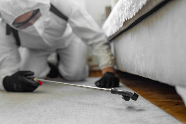 Professional Bed Bug Control technician working in Ouachita Parish County, LA